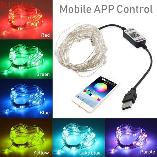 usb led string light bluetooth app control copper wire string lamp waterproof outdoor fairy lights for christmas tree decoration
usb led string light bluetooth app control copper wire string lamp waterproof outdoor fairy lights for christmas tree decoration