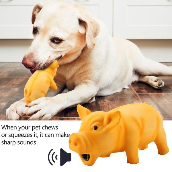 1pcs cute pig grunting squeak latex pet chew toys for dog squeaker chew training pet products
1pcs cute pig grunting squeak latex pet chew toys for dog squeaker chew training pet products