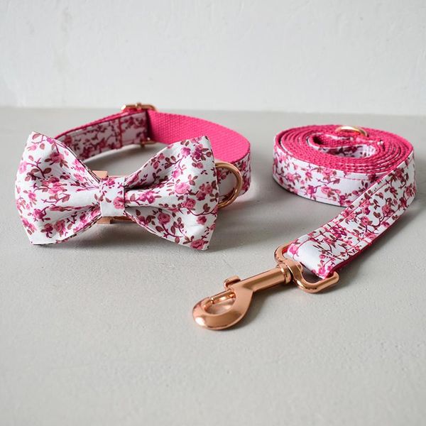 dog collars & leashes custom metal buckles engraved collar 1.5m pet leash bow tie chihuahua rose gold adjustable supplies factory price
dog collars & leashes custom metal buckles engraved collar 1.5m pet leash bow tie chihuahua rose gold adjustable supplies factory price