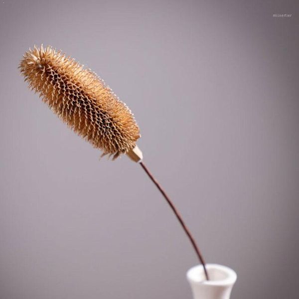 decorative flowers & wreaths natural dried eucalyptus leaf real branch party wheat acorn decoration pine wedding cotton nordic home h7o21
decorative flowers & wreaths natural dried eucalyptus leaf real branch party wheat acorn decoration pine wedding cotton nordic home h7o21