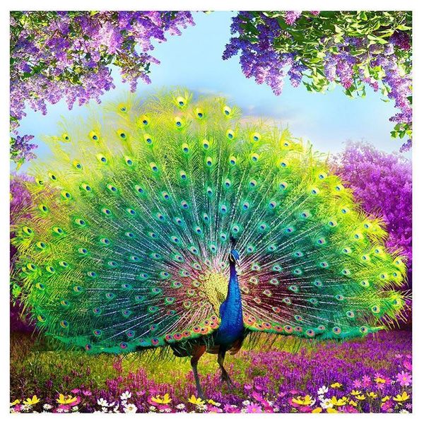 paintings diy 5d diamond painting peacock wealth and good fortune cross stitch full square diamonds embroidery animal mosaic rhinestone1
paintings diy 5d diamond painting peacock wealth and good fortune cross stitch full square diamonds embroidery animal mosaic rhinestone1