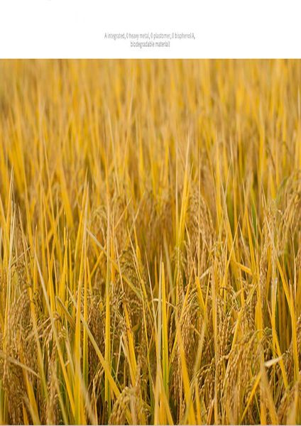 weep natural cereals lunch box для детей bpa free bento box с посудами микроволновидная пищевая контейнер детский школьный пикник sqcwvl
weep natural cereals lunch box для детей bpa free bento box с посудами микроволновидная пищевая контейнер детский школьный пикник sqcwvl