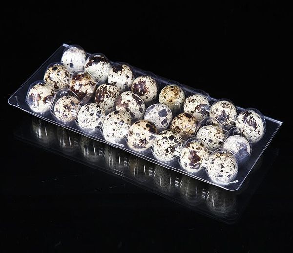 quail plastic boxes containers holes 24 1000pcs/lot egg texvsoutletpy5q 
quail plastic boxes containers holes 24 1000pcs/lot egg texvsoutletpy5q