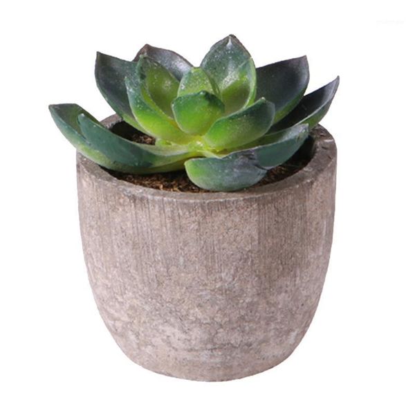 1pc vintage simulation succulent artificial plant bonsai deskdecoration fake potted plant for home office garden (green)1
1pc vintage simulation succulent artificial plant bonsai deskdecoration fake potted plant for home office garden (green)1
