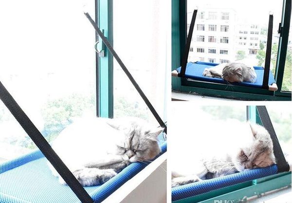 window mounted cat beds with strength suction cups cat hammock sunny pet supplies cat bed mats resting seat washabl jlleiy mxyard
window mounted cat beds with strength suction cups cat hammock sunny pet supplies cat bed mats resting seat washabl jlleiy mxyard