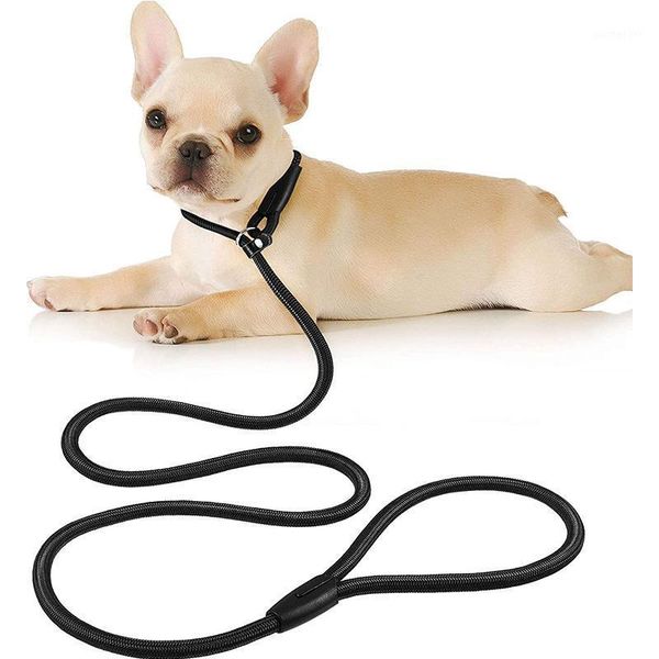 dog rope lead nylon adjustable loop training pet leash rope collar slip lead for walking training pets 130 cm1
dog rope lead nylon adjustable loop training pet leash rope collar slip lead for walking training pets 130 cm1