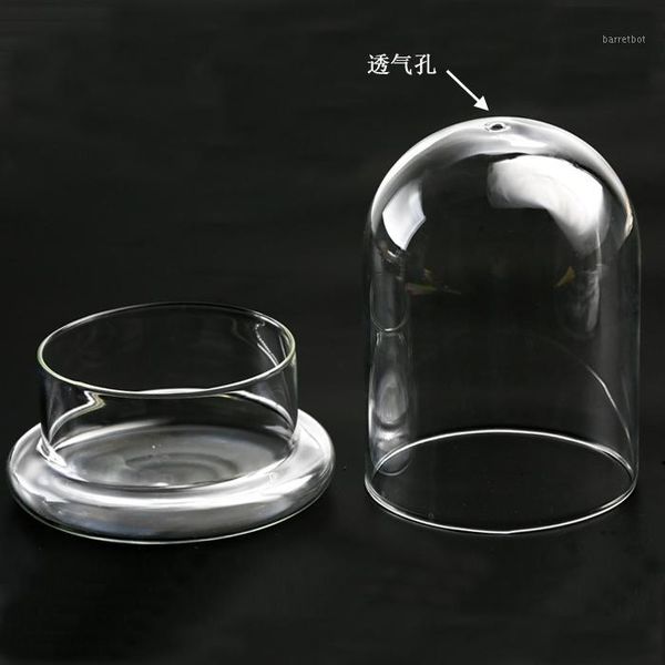 6pcs transparent glass cover micro landscape plant vase eternal flower glass cover dust gift box
6pcs transparent glass cover micro landscape plant vase eternal flower glass cover dust gift box