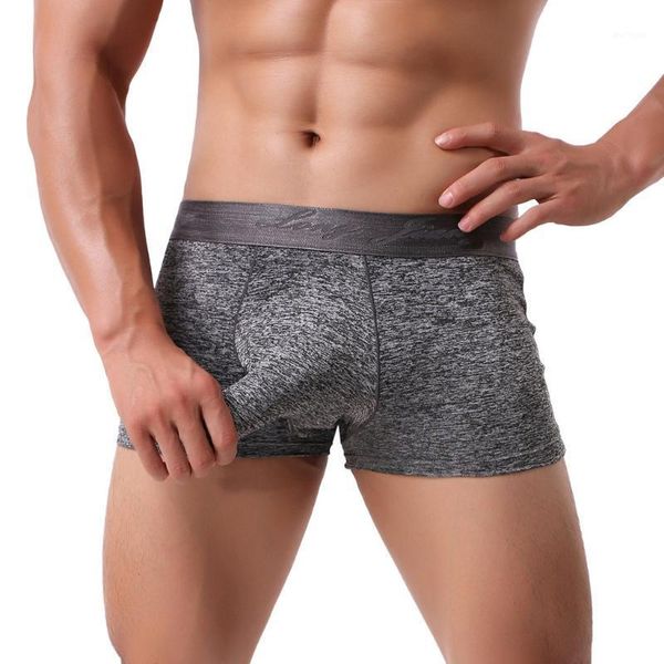 men's underwear bulge pouch boxer soft underpants solid color splicing boxer cotton boxershorts men underwear homme1, Black;white
men's underwear bulge pouch boxer soft underpants solid color splicing boxer cotton boxershorts men underwear homme1, Black;white