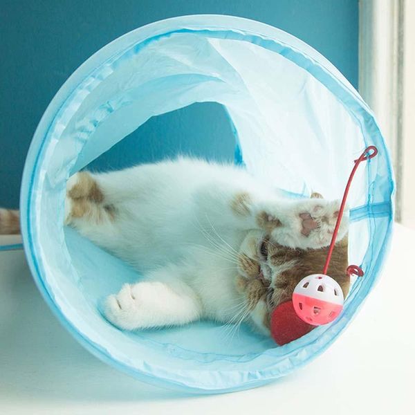 2021 funny pet combination cat tunnel game channel collapsible kitten puppy ferrets toys play dog tunnel tubes play toy
2021 funny pet combination cat tunnel game channel collapsible kitten puppy ferrets toys play dog tunnel tubes play toy