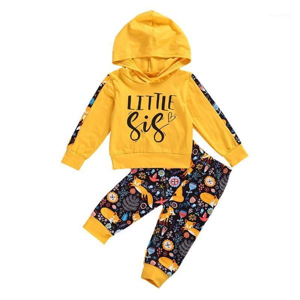 clothing sets 1-4t toddler kid baby girl clothes set long sleeve hooded sweatshirt and floral pant suit elegant cute autumn winter outfi, White
clothing sets 1-4t toddler kid baby girl clothes set long sleeve hooded sweatshirt and floral pant suit elegant cute autumn winter outfi, White