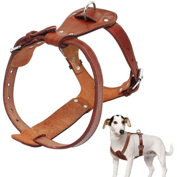 genuine leather dog harness brown 16\"-30\" chest adjustable straps for walking training medium large dogs pitbull boxer sqchih
genuine leather dog harness brown 16\"-30\" chest adjustable straps for walking training medium large dogs pitbull boxer sqchih