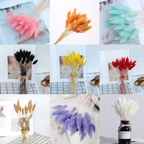 tail grass natural dried flowers for home decoration flower arrangement lagurus ovatus real flower grass props1
tail grass natural dried flowers for home decoration flower arrangement lagurus ovatus real flower grass props1