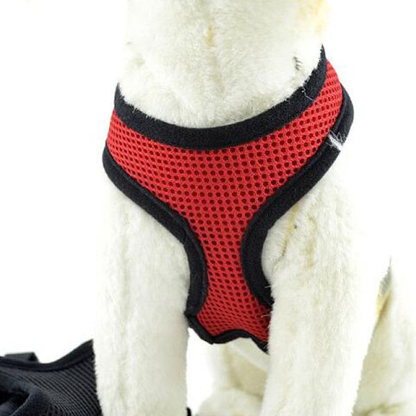 adjustable breathable safety belt mesh pet chien vest harness cat straps pets dog accessories para mascotas puppy clothes 2 6hx b2
adjustable breathable safety belt mesh pet chien vest harness cat straps pets dog accessories para mascotas puppy clothes 2 6hx b2