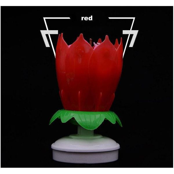 new colorful petals music candle children birthday party lotus sparkling flower candles squirt blossom flame wmtrbx my_home2010
new colorful petals music candle children birthday party lotus sparkling flower candles squirt blossom flame wmtrbx my_home2010