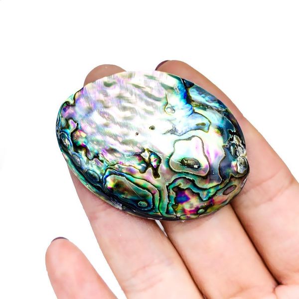 2pcs natural abalone shell pendants charms single side mother of pearl shell diy gifts pendants for jewelry making accessories h bbydxd
2pcs natural abalone shell pendants charms single side mother of pearl shell diy gifts pendants for jewelry making accessories h bbydxd