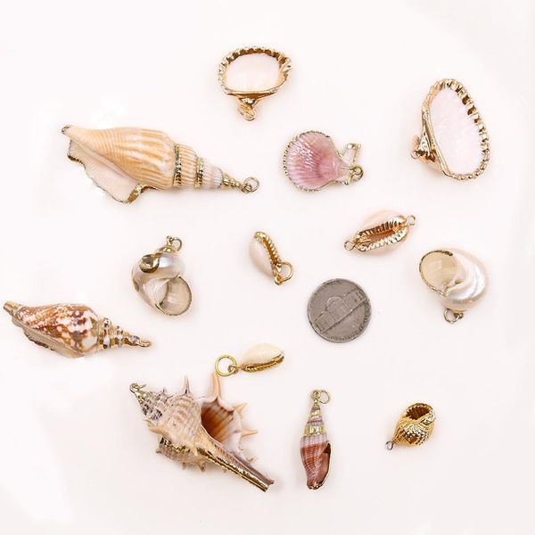 13pcs fashion boho conch shell necklace shells gold chain necklace seashells pendants for women diy jewelry accessories h jllcge 
13pcs fashion boho conch shell necklace shells gold chain necklace seashells pendants for women diy jewelry accessories h jllcge