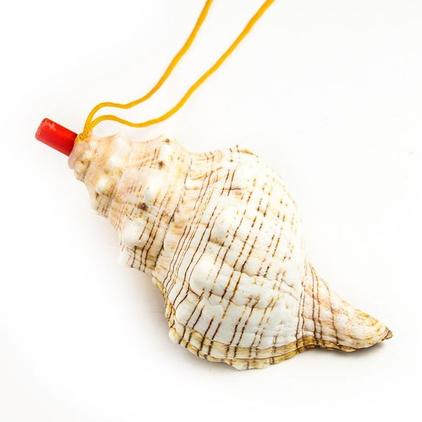 natural conch whistle pendant shell spiral snail blowing whistle children's toy gifts survival tool souvenir instrument craft h bbywzt
natural conch whistle pendant shell spiral snail blowing whistle children's toy gifts survival tool souvenir instrument craft h bbywzt