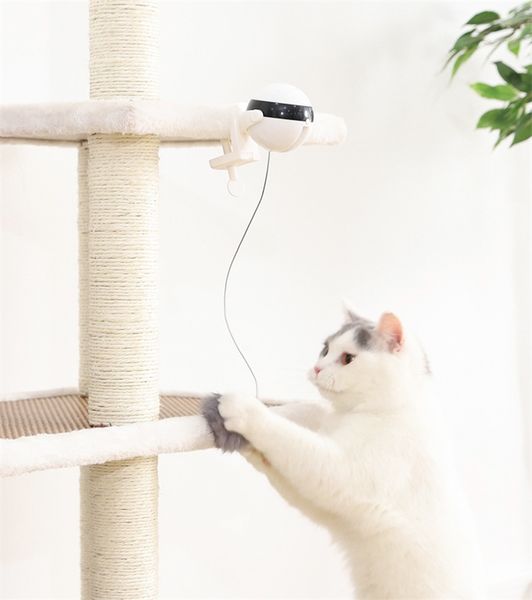 cats dogs electronic toy pet saceates teaser cat взаимодействие пособия разведывательная интеллектуальная электрическая подъемное мяч игрушк 
cats dogs electronic toy pet saceates teaser cat взаимодействие пособия разведывательная интеллектуальная электрическая подъемное мяч игрушк