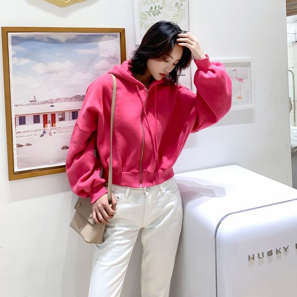 high waist loose and slim zipper hooded cardigan fashion casual 2020 spring korean short style lantern sleeve sweater women
high waist loose and slim zipper hooded cardigan fashion casual 2020 spring korean short style lantern sleeve sweater women