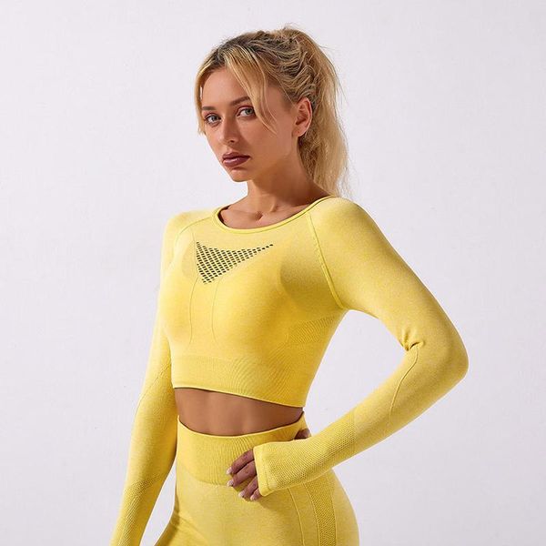 seamless long sleeve +pant 2 piece set women yoga set high waist sportwear workout fitness gym clothes, White;red
seamless long sleeve +pant 2 piece set women yoga set high waist sportwear workout fitness gym clothes, White;red