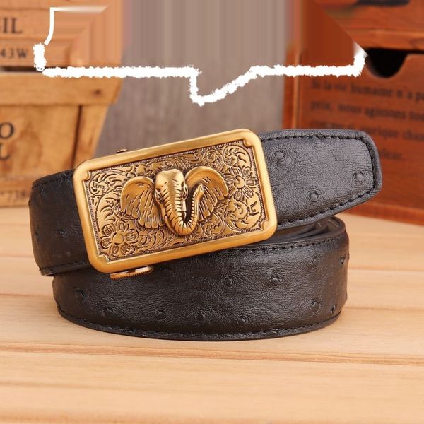 with automaticbusiness and men's leather with automaticbusiness belt and men's leather belt dmb8c, Black;brown
with automaticbusiness and men's leather with automaticbusiness belt and men's leather belt dmb8c, Black;brown