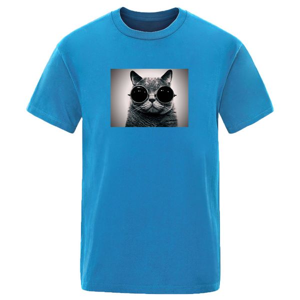 cool cute cat printed solid color summer hip hop short sleeve male tshirt sport hooded sweatshirt hoodie men t shirt
cool cute cat printed solid color summer hip hop short sleeve male tshirt sport hooded sweatshirt hoodie men t shirt