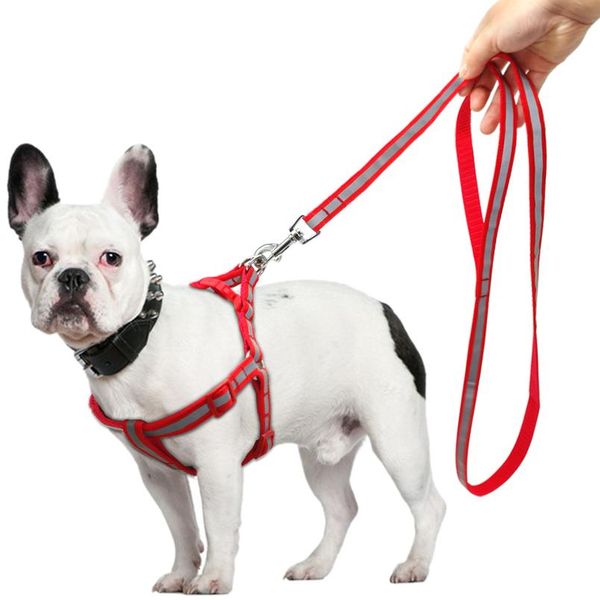 7 colors nylon reflective dog harness leash lead set for small medium dogs puppy chihuahua yo sqcfff
7 colors nylon reflective dog harness leash lead set for small medium dogs puppy chihuahua yo sqcfff