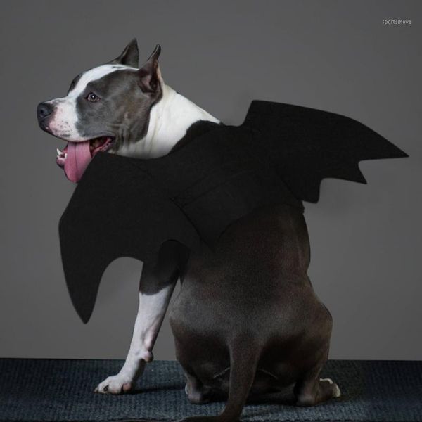 pet cat dogs halloween kittens black bat cosplay funny costume for dog cats puppies1
pet cat dogs halloween kittens black bat cosplay funny costume for dog cats puppies1
