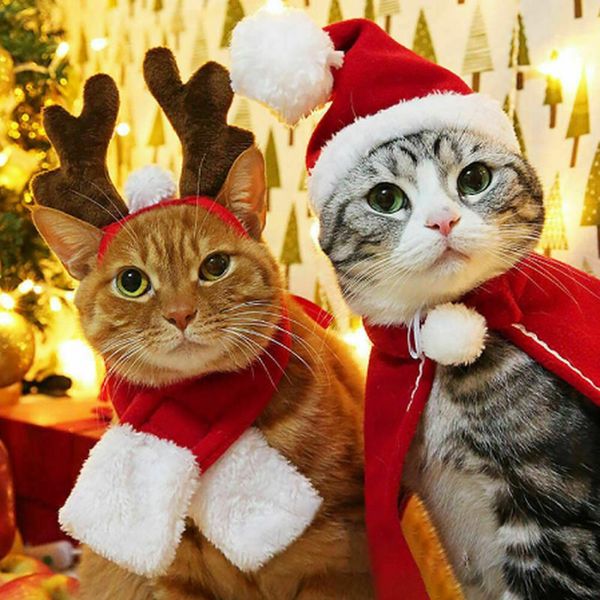 newpet clothes funny dog cat christmas warm puppy santa red scarf hat deer head cute dogs cloak cats costume home decor
newpet clothes funny dog cat christmas warm puppy santa red scarf hat deer head cute dogs cloak cats costume home decor
