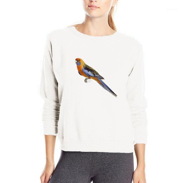 super beautiful parrot hoodies brand new 3d hoodie casual cotton sweatshirts hip hop outwear harajuku pullover women jackets1, Black
super beautiful parrot hoodies brand new 3d hoodie casual cotton sweatshirts hip hop outwear harajuku pullover women jackets1, Black