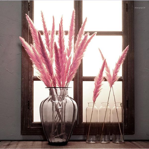 7pcs natural dried small pampas grass phragmites communis artificial plants wedding flower bunch fake flowers1
7pcs natural dried small pampas grass phragmites communis artificial plants wedding flower bunch fake flowers1