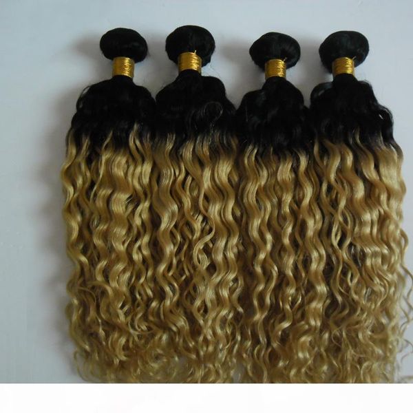 4pcs blonde brazilian kinky curly ombre hair 100% human hair bundles t1b 613 brazilian hair weave bundles non remy extension double drawn, Black
4pcs blonde brazilian kinky curly ombre hair 100% human hair bundles t1b 613 brazilian hair weave bundles non remy extension double drawn, Black
