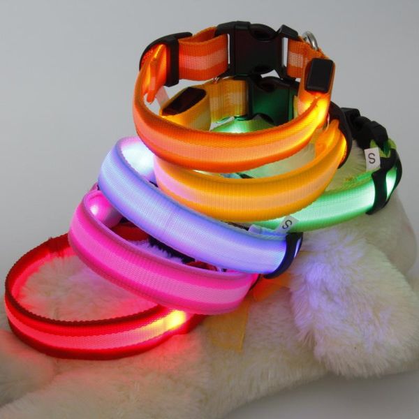 dog collars & leashes 100pcs nylon pet led collar night safety flashing glow cat for dogs s/m/l wa1814
dog collars & leashes 100pcs nylon pet led collar night safety flashing glow cat for dogs s/m/l wa1814
