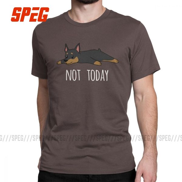 funny not today miniature pinscher dog men short sleeves popular crewneck cotton printing hoodie designers t shirts sweatshirt
funny not today miniature pinscher dog men short sleeves popular crewneck cotton printing hoodie designers t shirts sweatshirt