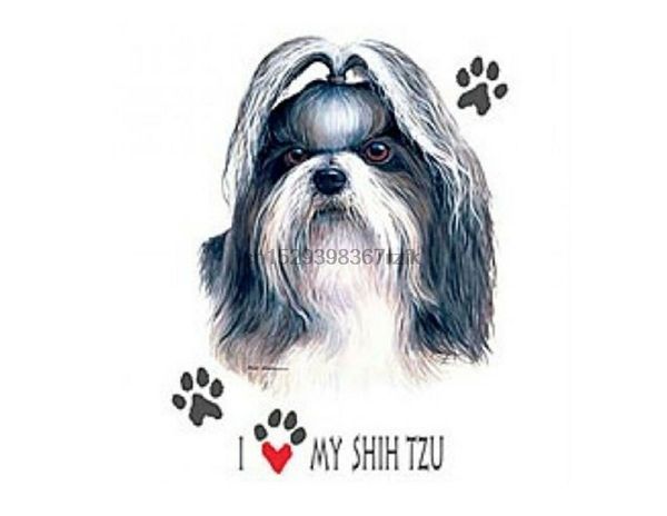 i love my shih tzu brand new tee белый розовый серый tshirts спорта толстовка с капюшоном толстовка
i love my shih tzu brand new tee белый розовый серый tshirts спорта толстовка с капюшоном толстовка