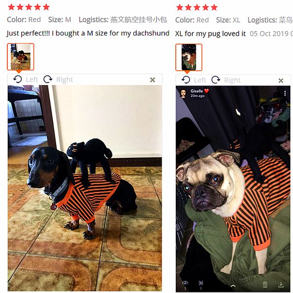 halloween costumes for dog clothes for dogs cat chihuahua winter dog coat pet clothing for small dogs cats clothes christmas, Silver
halloween costumes for dog clothes for dogs cat chihuahua winter dog coat pet clothing for small dogs cats clothes christmas, Silver