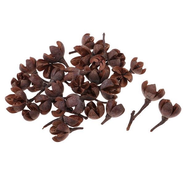 50 pieces lots in bulk natural dried flowers nutshell handmade candy box christmas wedding decoration home ornaments - 2cm/0.79'\'
50 pieces lots in bulk natural dried flowers nutshell handmade candy box christmas wedding decoration home ornaments - 2cm/0.79'\'
