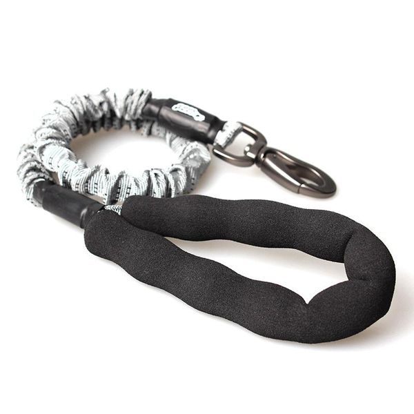 dog collars & leashes pet leash nylon for dogs walking training cats harness collar strap belt
dog collars & leashes pet leash nylon for dogs walking training cats harness collar strap belt