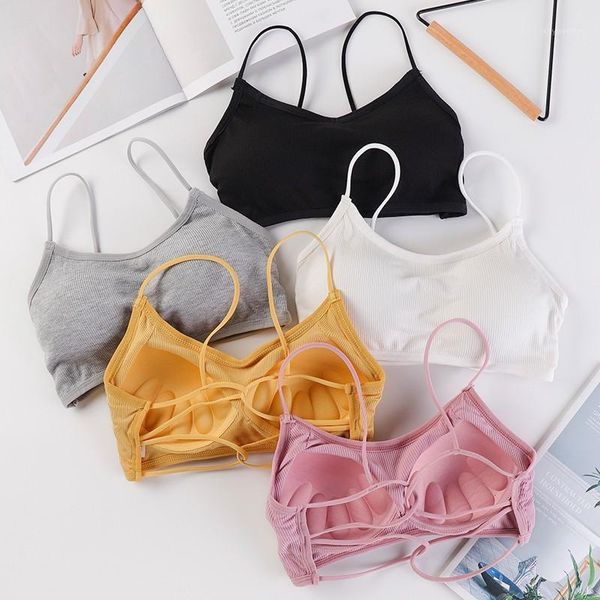 bustiers & corsets women padded bra lingerie solid color lace tube underwear beauty back wrapped chest bras underwear1, Black;white
bustiers & corsets women padded bra lingerie solid color lace tube underwear beauty back wrapped chest bras underwear1, Black;white