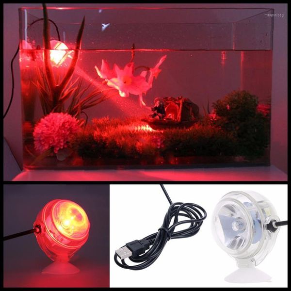 aquarium fish tank submersible led spotlight lighting underwater lamp eu plug aquario accessory lamp1
aquarium fish tank submersible led spotlight lighting underwater lamp eu plug aquario accessory lamp1