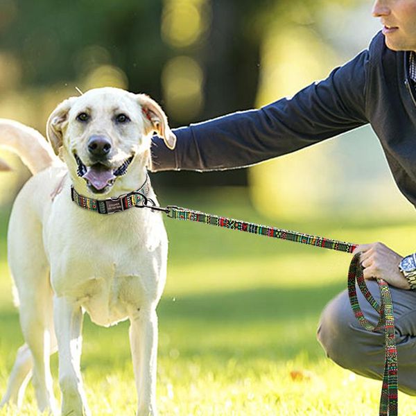 5 colors dog leash rope nylon printed puppy dog walking running training leashes lead for small medium large dogs sqcnjj
5 colors dog leash rope nylon printed puppy dog walking running training leashes lead for small medium large dogs sqcnjj