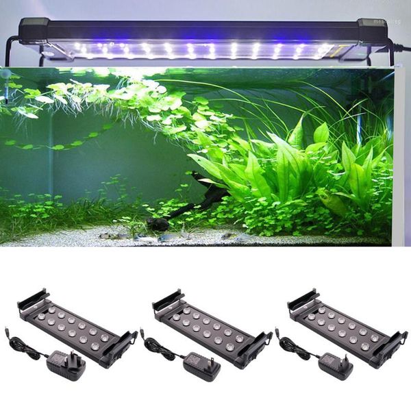 aquarium fish tank light 10w led lamp light led lighting for aquarium aquatic aquario eu/us/uk plug1
aquarium fish tank light 10w led lamp light led lighting for aquarium aquatic aquario eu/us/uk plug1