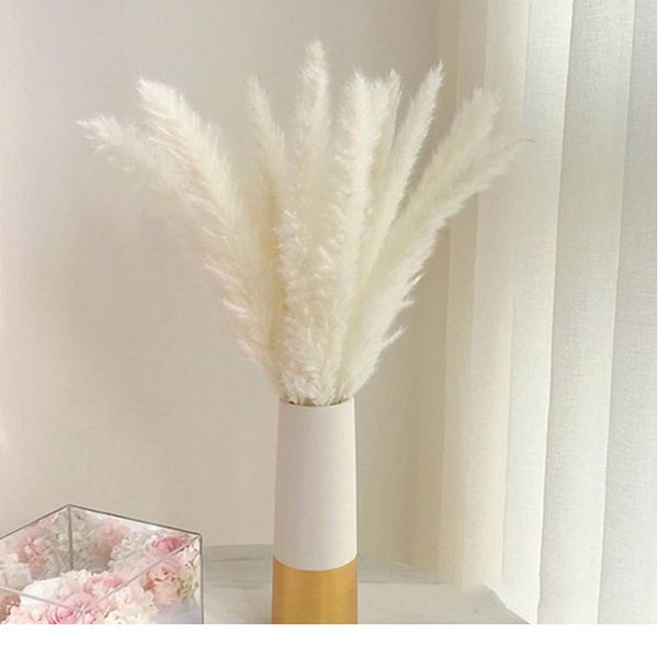 bulrush натуральные высушенные цветы искусственные растения ветви красочные ins ins pampas трава фрагмиты поддельный цветок свадьба дома de 
bulrush натуральные высушенные цветы искусственные растения ветви красочные ins ins pampas трава фрагмиты поддельный цветок свадьба дома de