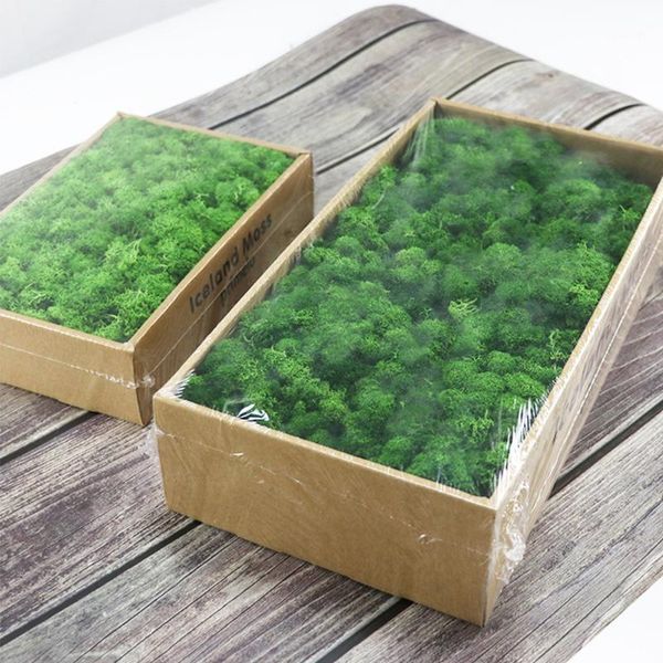 diy creative artificial green plant dried reindeer moss fake flower home garden garland wedding party wall decor mini accessorie1
diy creative artificial green plant dried reindeer moss fake flower home garden garland wedding party wall decor mini accessorie1