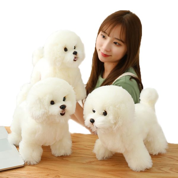 lovely high-quality simulation bichon and dog plush toy children's baby sleep with soothing doll girl birthday gift home decorat
lovely high-quality simulation bichon and dog plush toy children's baby sleep with soothing doll girl birthday gift home decorat