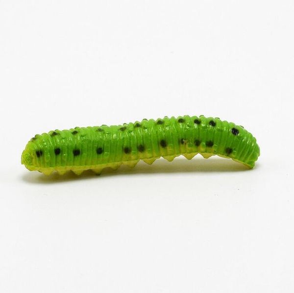 6pcs lot different twisty worm realistic fake caterpillar insect educational trick toy 6pcs lot different occasion half off wmtisc
6pcs lot different twisty worm realistic fake caterpillar insect educational trick toy 6pcs lot different occasion half off wmtisc