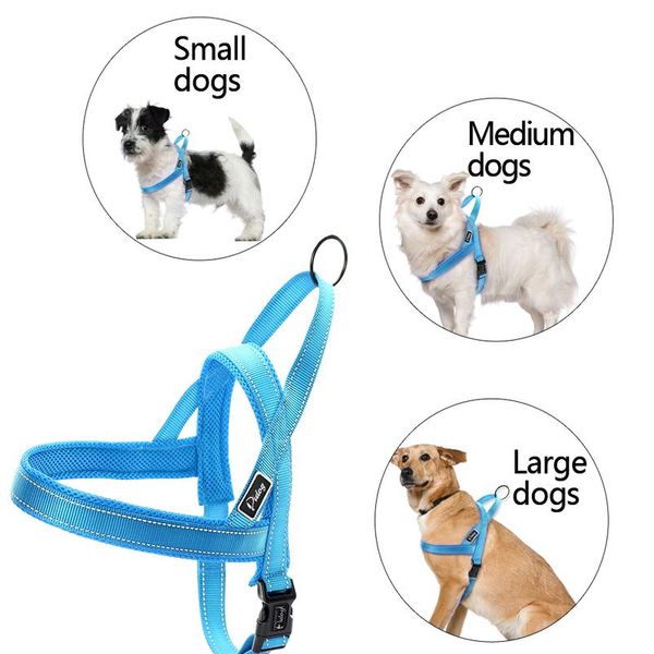 no pull reflective dog harness leash set pet vest lead for small meduim large dogs perfect for daily training walki jllmkp
no pull reflective dog harness leash set pet vest lead for small meduim large dogs perfect for daily training walki jllmkp