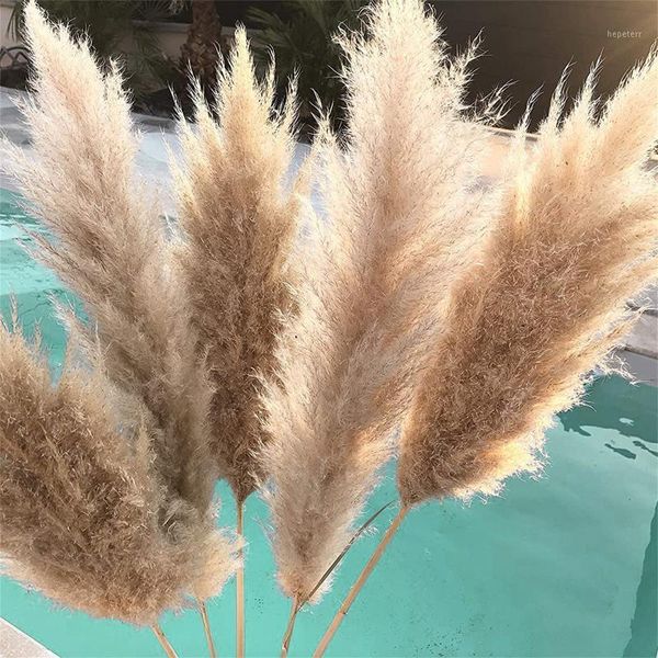 6pcs natural grass decor natural dried flowers plants wedding flowers dry flower bouquet fluffy lovely for holiday home decor1
6pcs natural grass decor natural dried flowers plants wedding flowers dry flower bouquet fluffy lovely for holiday home decor1