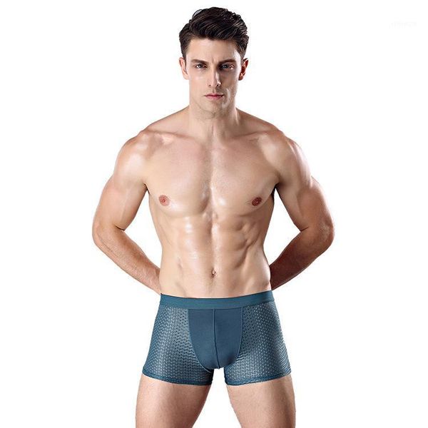 underwear breathable mesh men's boxers male underpants panties cotton bodysuit trunks pant1, Black;white
underwear breathable mesh men's boxers male underpants panties cotton bodysuit trunks pant1, Black;white