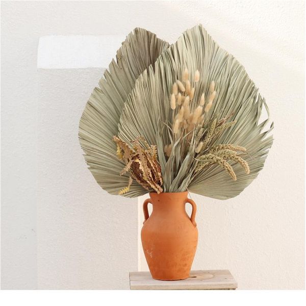 1pcs palm fan leaf dried flower palm leaf window reception party diy art wall hanging decoration for wedding arch arr bbyfrv
1pcs palm fan leaf dried flower palm leaf window reception party diy art wall hanging decoration for wedding arch arr bbyfrv
